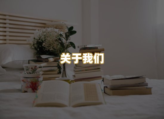 关于我们